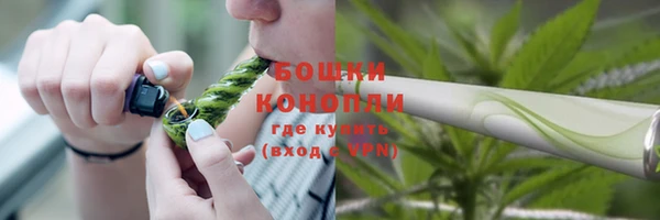 дурь Гатчина