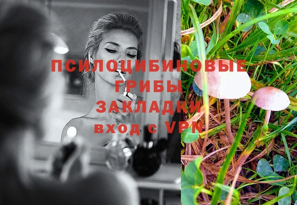 дживик Гусиноозёрск