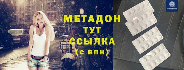 амф Гусь-Хрустальный