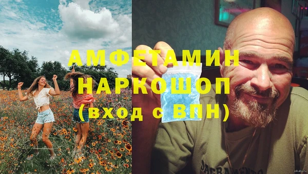 амф Гусь-Хрустальный