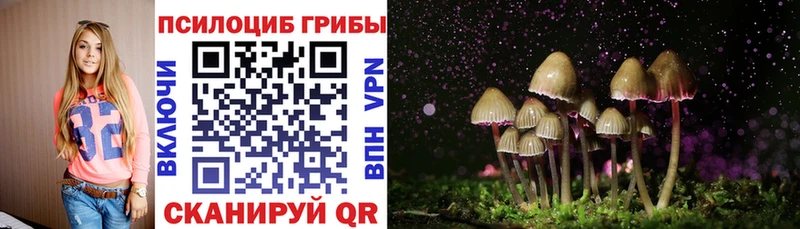 где продают наркотики MEGA Псилоцибиновые грибы Psilocybe Железноводск
