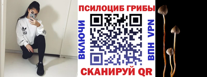 Галлюциногенные грибы прущие грибы Железноводск